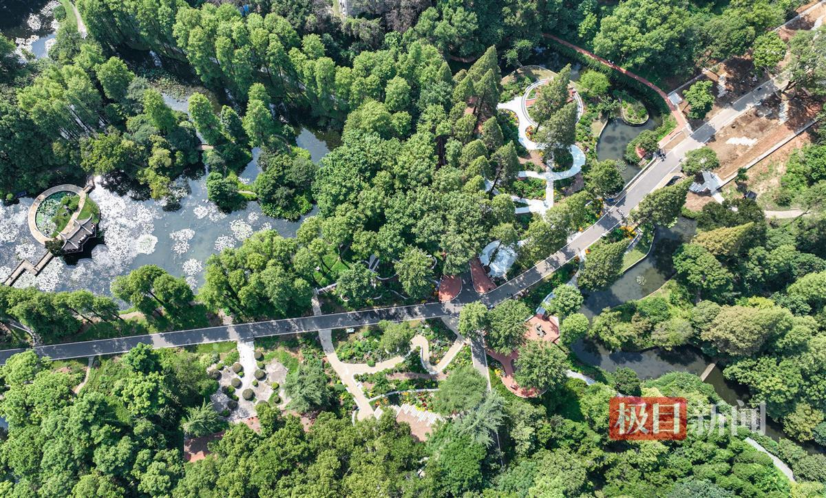 美高美图文